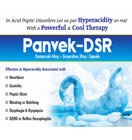 PANVEK-DSR